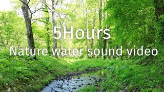 水　せせらぎ　新緑　自然の水の音　5時間　眠り　作業用　環境音 4K　｜　Relaxing Nature Water Sound Video 5Hours by Relaxing BGV / 日本の水の音と映像channel 102 views 4 days ago 5 hours