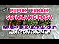 Part 2 rahasia terbongkar  rumus dasar pupuk organik kompos terbaik  the best organic fertilizer