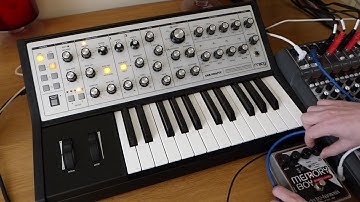 Moog Sub Phatty & EHX Memory Boy