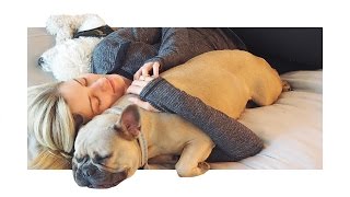 NEW PUPPY! | iJustine