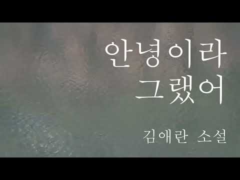안녕이라 그랬어/김애란 소설