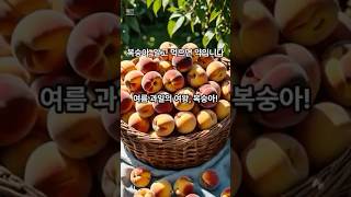 복숭아 알고 먹으면 약입니다 #건강관리 #건강생활 #건강정보 #복숭아