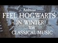 Hogwarts Winter Nostalgia - Harry Potter OST with Relaxing Classical Music