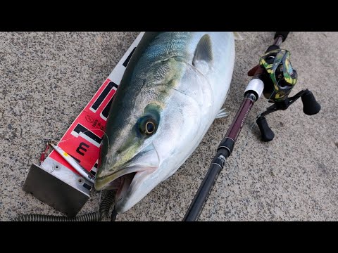 フィッシュマン ブリスト ベンダバール8.9M Fishman(フィッシュマン) BRIST VENDAVAL(ブリスト ベンダバール