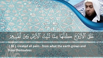 الشيخ محمود هاشم - سورة يس من الآية 1 إلى الآية 58