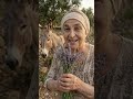 8 أعشاب ما تلقاهاش في الصيدلية الحاجة تعرفهم كلهم