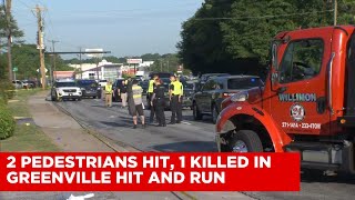 2 pedestrians hit, 1 killed in hit and run in Greenville