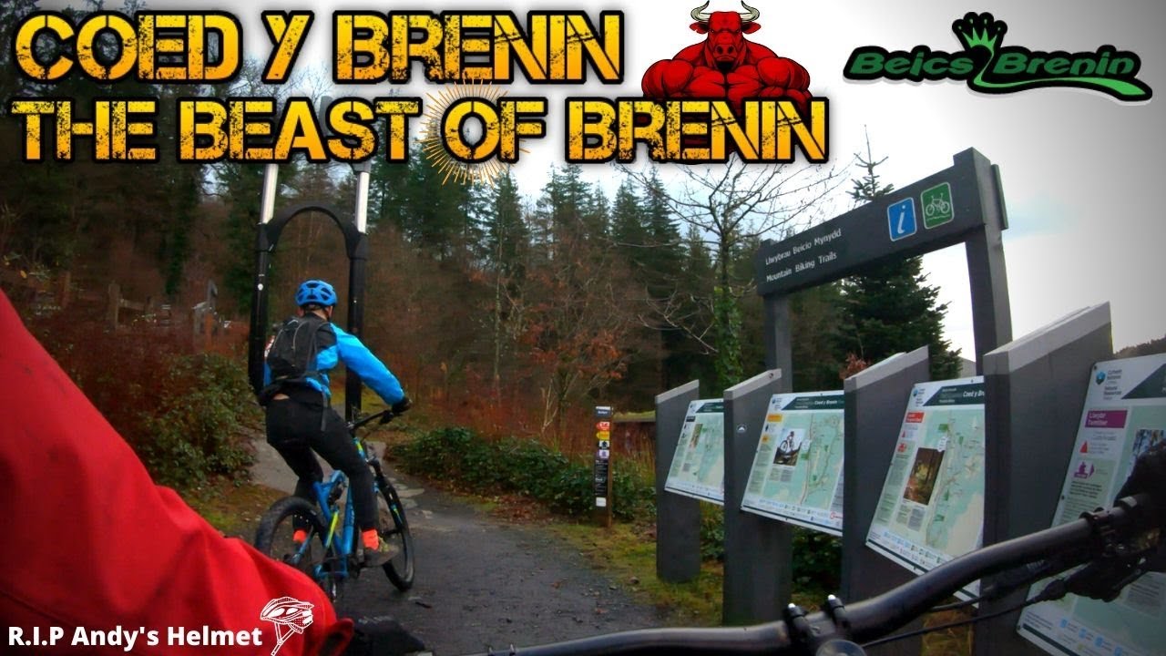 coed y brenin mtb
