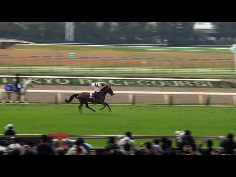 2021 天皇賞（秋） 本馬場入場・返し馬