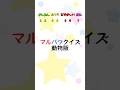 ◯✗クイズ 動物版 #shorts #動物クイズ