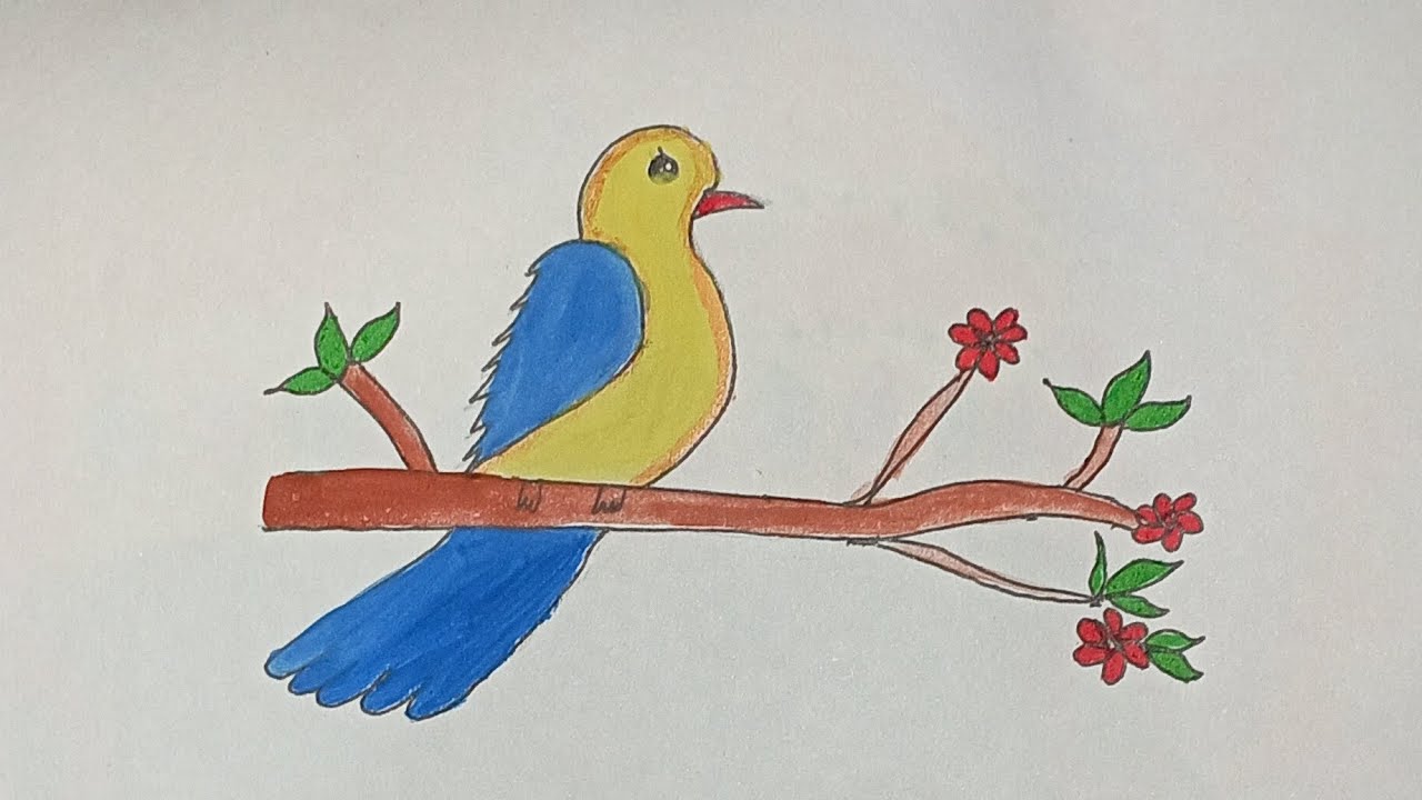 Cute Bird Drawing|| Bird Drawing Step by Step|| - YouTube