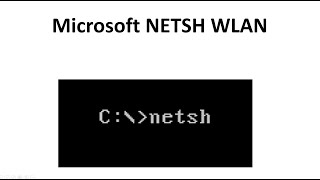 Celebrity Microsoft NETSH WLAN Net Worth