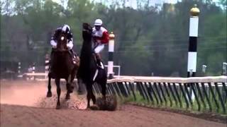 Ruffian A Csodakanca