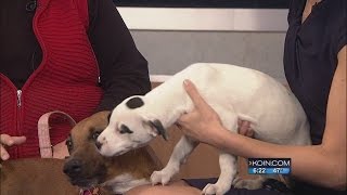 Second Chance - Lizma and Duffy