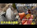【キツかった…】山奥を8時間彷徨った結果、思わぬ収穫を得ました。