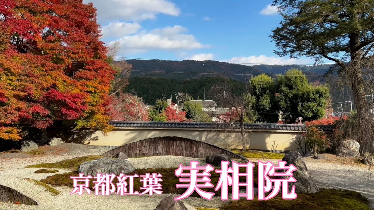 京都の紅葉を巡る 実相院のモミジを散策 Jissoin Temple Youtube