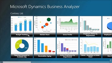 Microsoft Dynamics GP - Business Analyzer