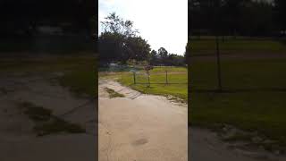 1000 Roll Thunder Firecrackers By Skysong