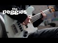 the peggies - 花火 (Hanabi) | Bass Cover ベース弾いてみた