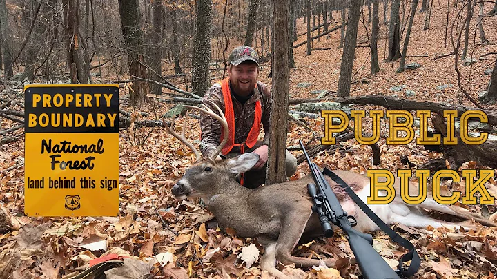 First VA self filmed buck public land buck!!!