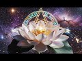 Attract  Love Reprogramming