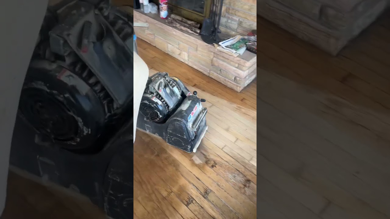 Полы, пропитанные мочой, можно ли их спасти? 😬