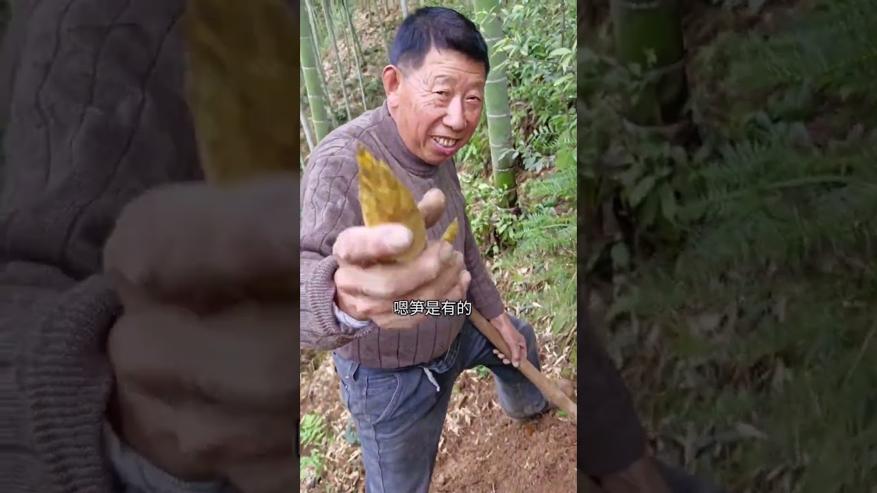 虽然没有满载而归，但享受了和爸爸一起挖笋的乐趣，并把他记录了下来，看着爸爸佝偻的背，颤抖的手，没以前灵活的脚，心里也不是滋味，没什么比随他意和陪伴更重要。山上我还滑了一跤，爸爸看到了心疼不已，还帮我