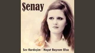 Bir Gün O Yok Diyecekler - Şenay