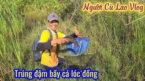 Bất ngờ thăm lờ nước cạn vẫn trúng đậm bầy cá lóc đồng @nguoiculaovlog 