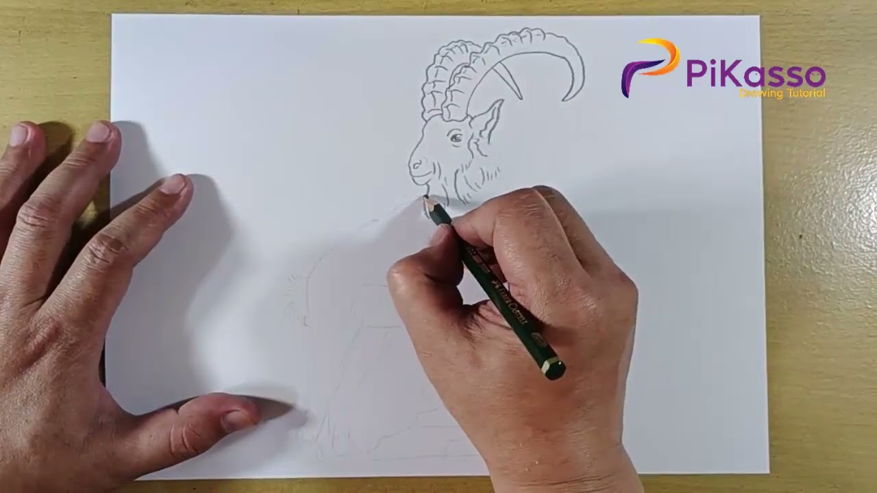 How to Shade a Mountain Goat Drawing