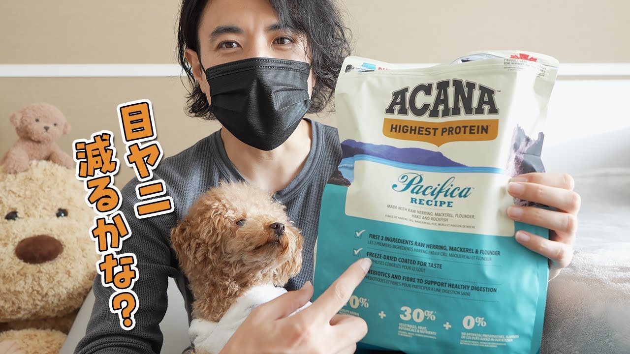 目やにの多い愛犬のドッグフードを変えてみようと思います！