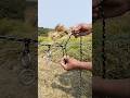 Satisfying Rope Knot to Tie a Sack Perfectly | Smart Rope Trick #shorts🪢#rope #knot #satisfying