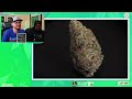 Garlicane Strain Review [DANK, DECE, OR BOOF?]