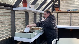 Preparing our greenhouse interior for starting our seeds! | Elysia English