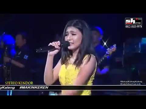 VELA ZADARA ‼️ TERLUKA ‼️ SK GROUP ZEDAG ZEDUG‼️