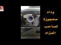 ونسة وفائدة - بعض  طرائف الثورة السودانية و"الحل في البل" شعار دولي