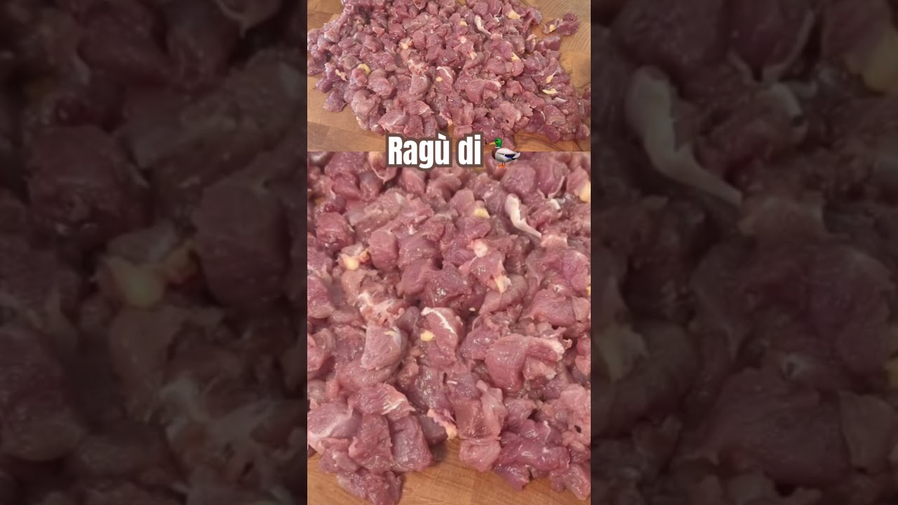 Delizioso ragù di anatra - guarda il video completo 