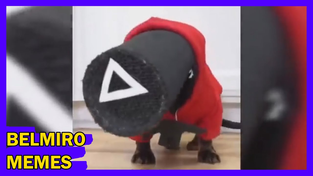 Belmiro Memes: Melhores dublagens engraçadas da semana 14