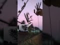 The hidden joy of capturing nature through a lense