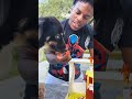 😍 IShowSpeed Celebrates His Dog's 2nd Birthday! 🎂🐶 #Shorts #IShowSpeed