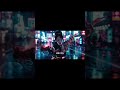 Cervus Rex new song