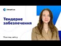 Розгляд кейсу щодо тендерного забезпечення