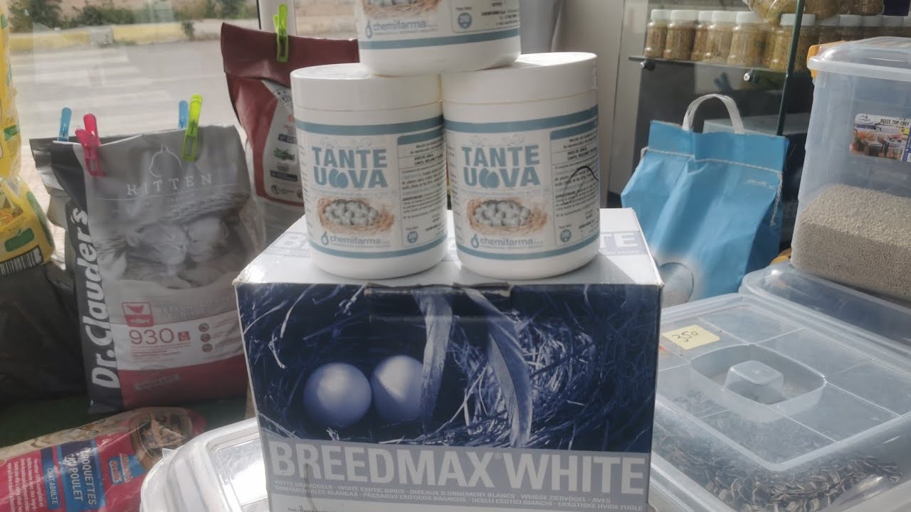 BREEDMAX and TANTE UOVA منتوجين ننصحكم بعدم الاستغناء عنهم
