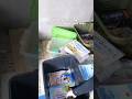 container box bahanya plastik dijamin anti rayap #review