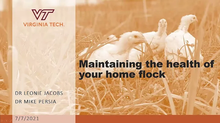 Maintaining the Health of Your Backyard Flock