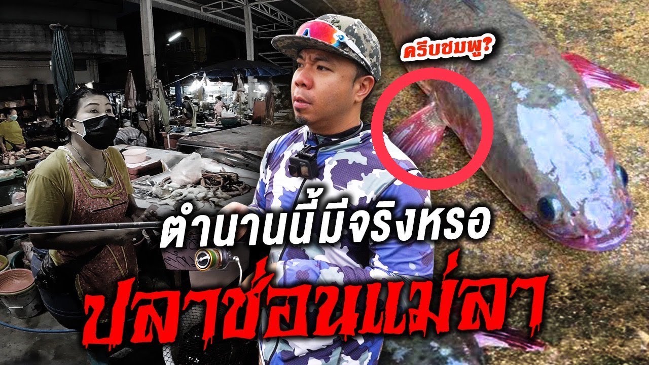 ตามล่า!! ปลาแม่ลา !! ตำนานนี้มีจริงเหรอ?!! [หัวครัวทัวร์ริ่ง] EP.155