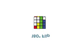 TTISI DISC Cube | 180 Flip