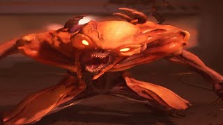 IMP
