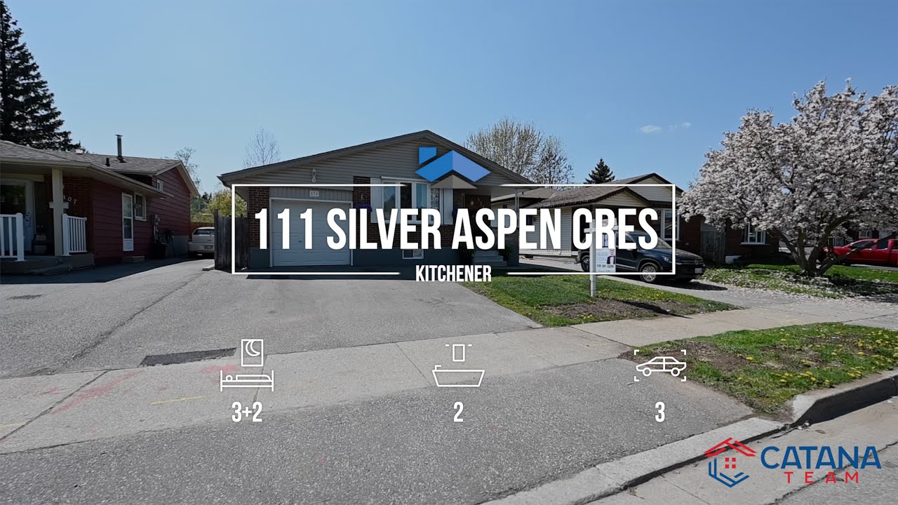 Now Listed 111 Silver Aspen Cres Kitchener ON Catana Team YouTube