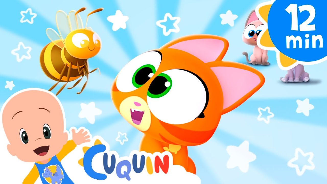 The kitten wants to fly like a bee | Sing with Cleo & Cuquin